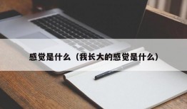 感觉是什么（我长大的感觉是什么）