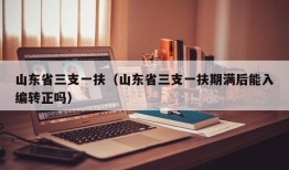 山东省三支一扶（山东省三支一扶期满后能入编转正吗）