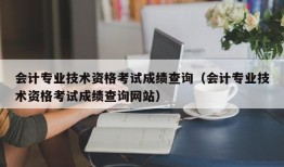 会计专业技术资格考试成绩查询（会计专业技术资格考试成绩查询网站）