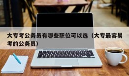 大专考公务员有哪些职位可以选（大专最容易考的公务员）