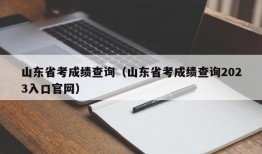 山东省考成绩查询（山东省考成绩查询2023入口官网）