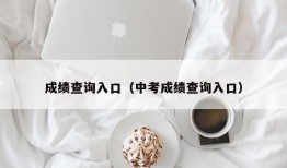 成绩查询入口（中考成绩查询入口）