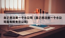 自己想注册一个小公司（自己想注册一个小公司是有限责任公司）