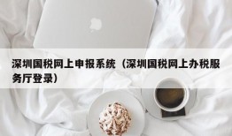 深圳国税网上申报系统（深圳国税网上办税服务厅登录）