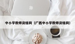 中小学教师资格网（广西中小学教师资格网）