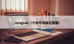 cunguan（寸关尺切脉位置图）