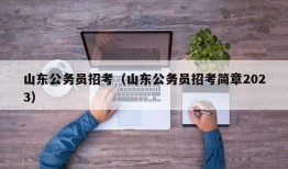 山东公务员招考（山东公务员招考简章2023）