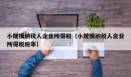 小规模纳税人企业所得税（小规模纳税人企业所得税税率）