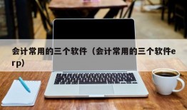 会计常用的三个软件（会计常用的三个软件erp）