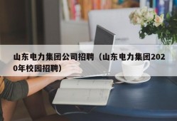 山东电力集团公司招聘（山东电力集团2020年校园招聘）