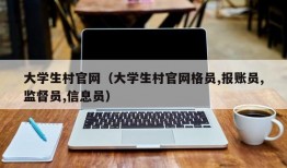 大学生村官网（大学生村官网格员,报账员,监督员,信息员）